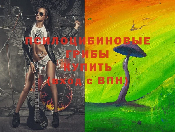 молекула духа Инсар