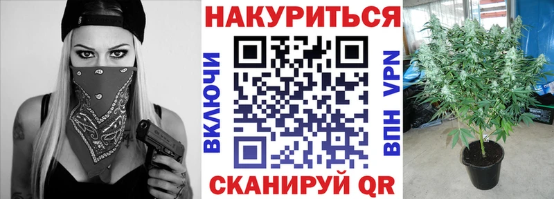 Марихуана SATIVA & INDICA  Ставрополь 